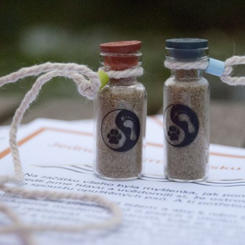 Písek z Psího ostrova