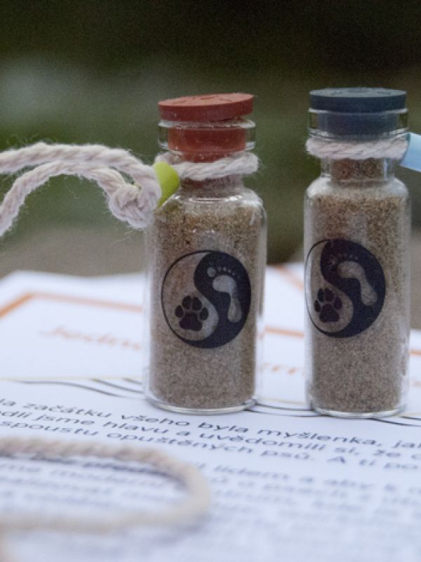 Písek z Psího ostrova