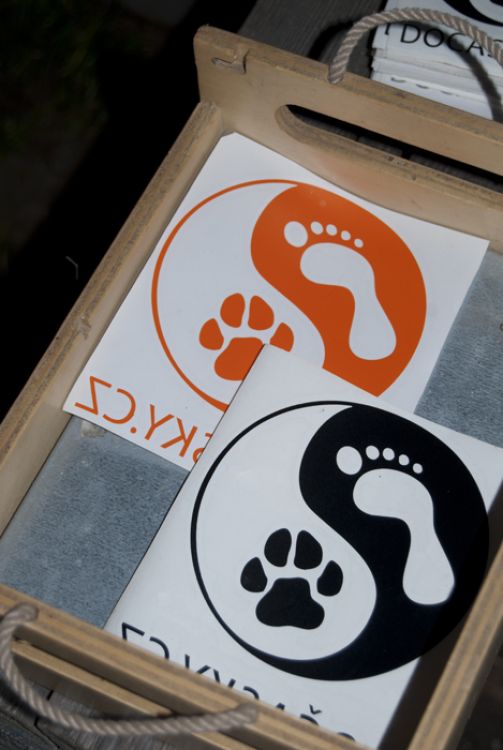 Samolepka na sklo Dočasky.cz (více barev)