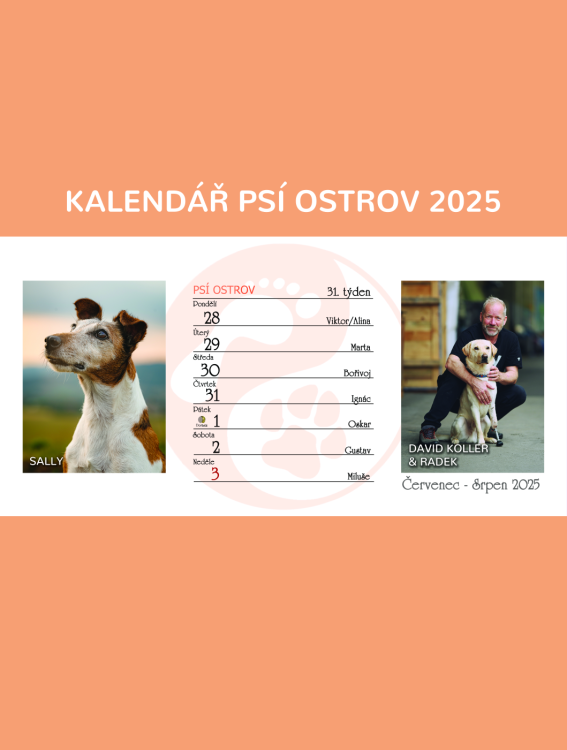 VÝPRODEJ: Stolní týdenní kalendář na rok 2025