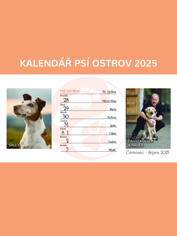 VÝPRODEJ: Stolní týdenní kalendář na rok 2025