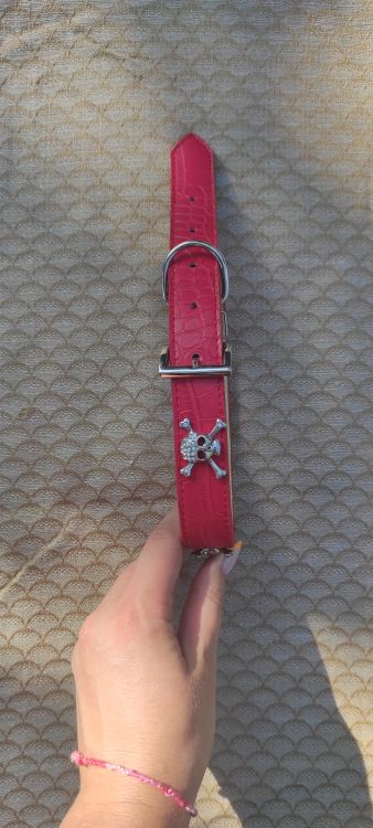 Růžový kožený obojek s lebkami