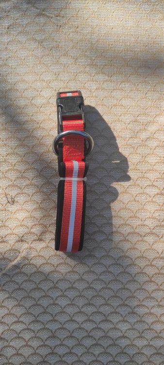 Oranžový reflexní obojek