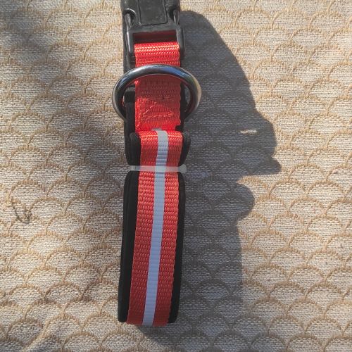 Oranžový reflexní obojek