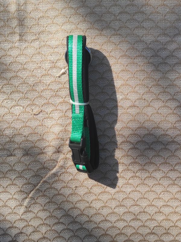 Zelený reflexní obojek