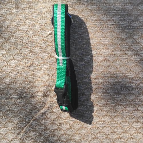 Zelený reflexní obojek