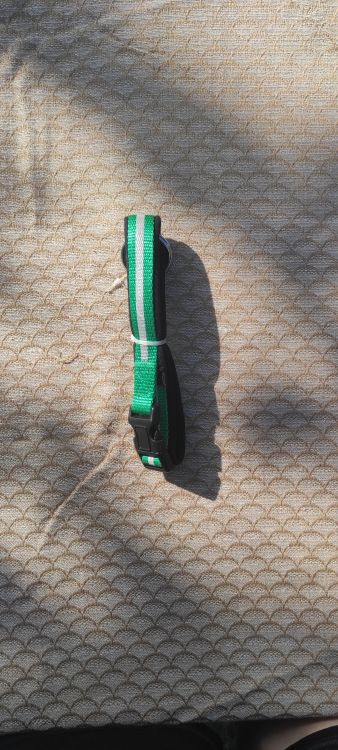 Zelený reflexní obojek