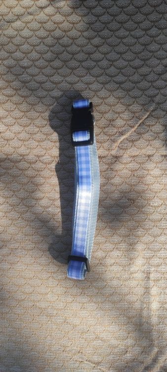 Modrý károvaný obojek