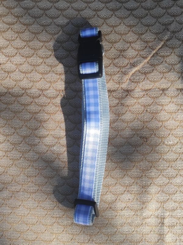 Modrý károvaný obojek