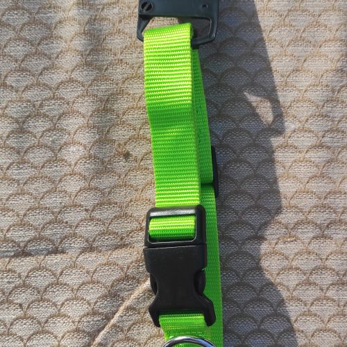 Zelený nylonový obojek