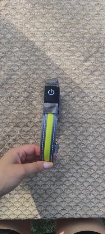 Svítící reflexní obojek