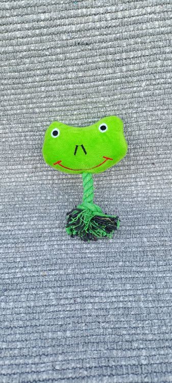 Psí přetahovadlo - Žabka