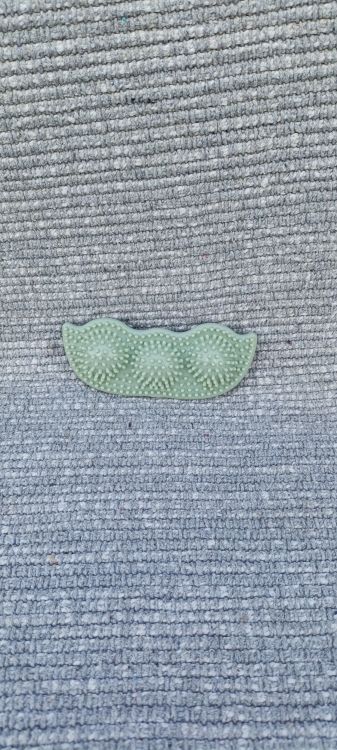 Psí dentální hračka - Hrášek