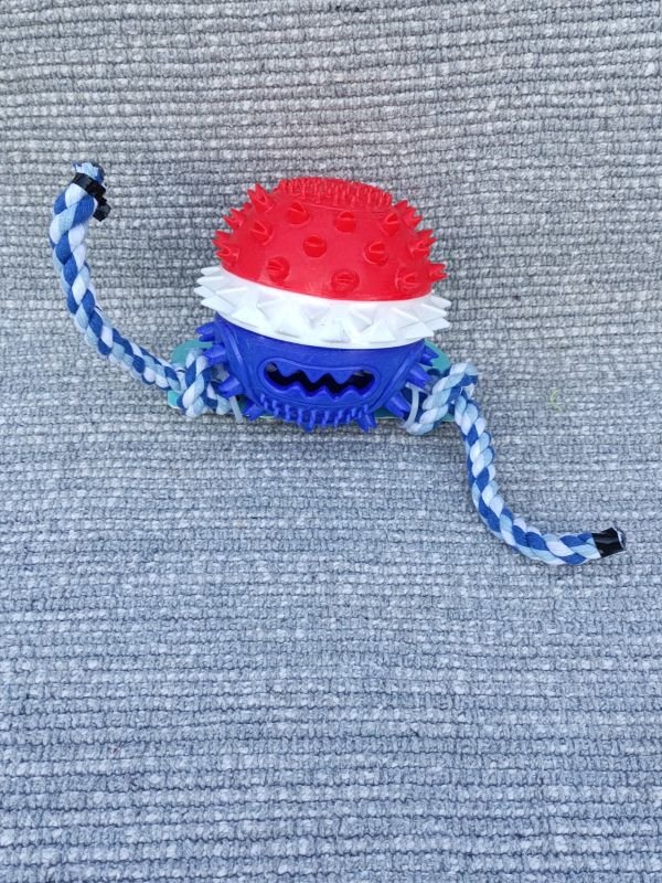 Psí přetahovadlo s dentálním míčkem