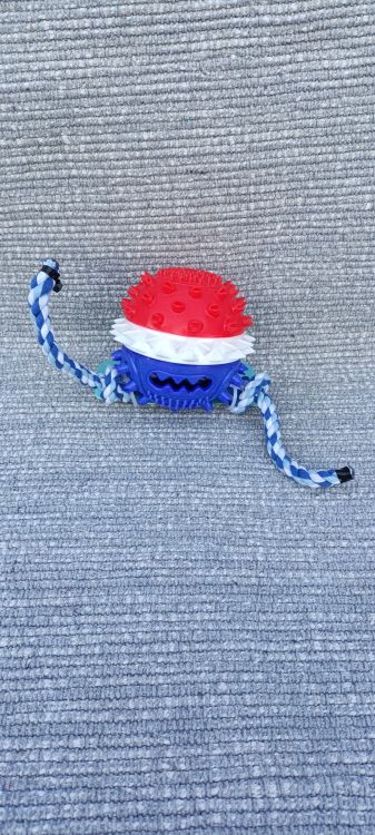 Psí přetahovadlo s dentálním míčkem