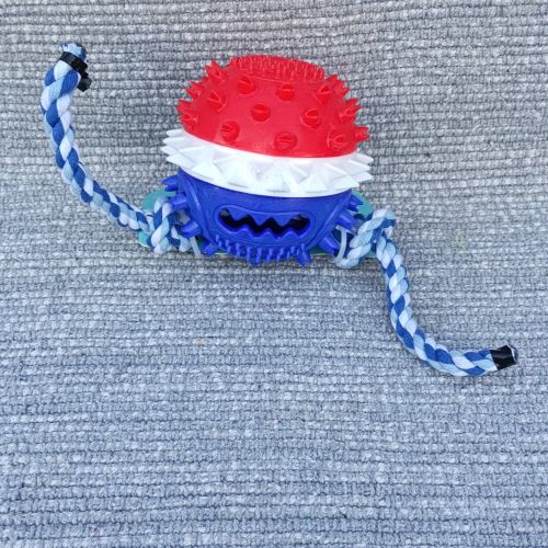 Psí přetahovadlo s dentálním míčkem