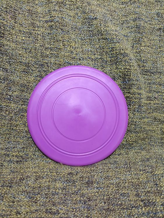 Lítající talíř fialový