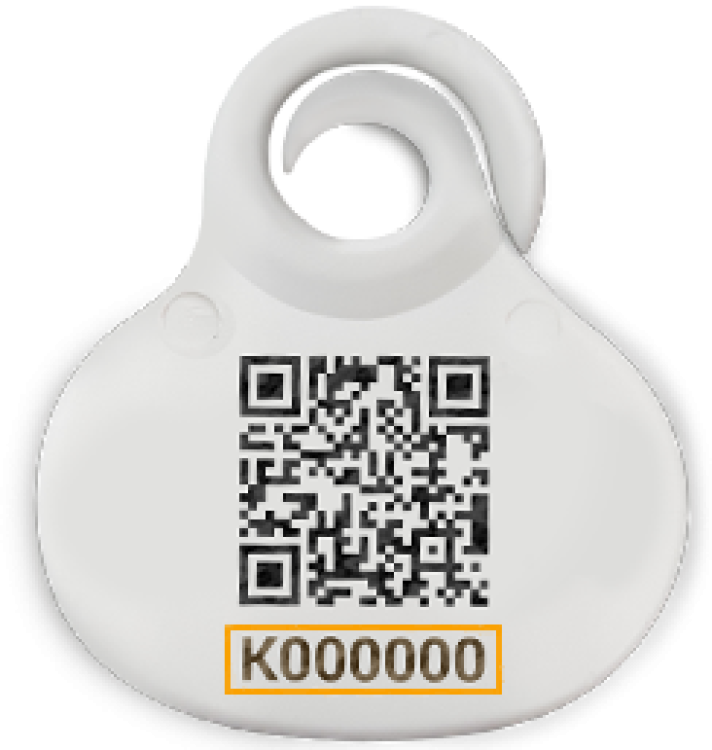 Medailonek Pet2Me s identifikačním QR kódem
