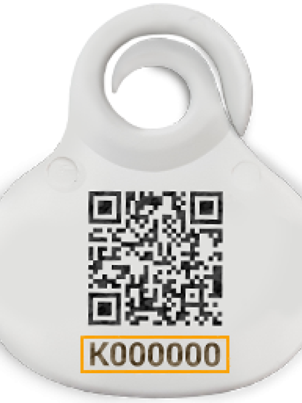 Medailonek Pet2Me s identifikačním QR kódem