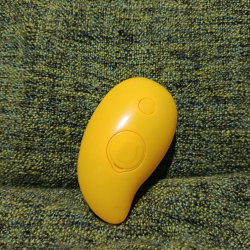 Parní kartáč na srst