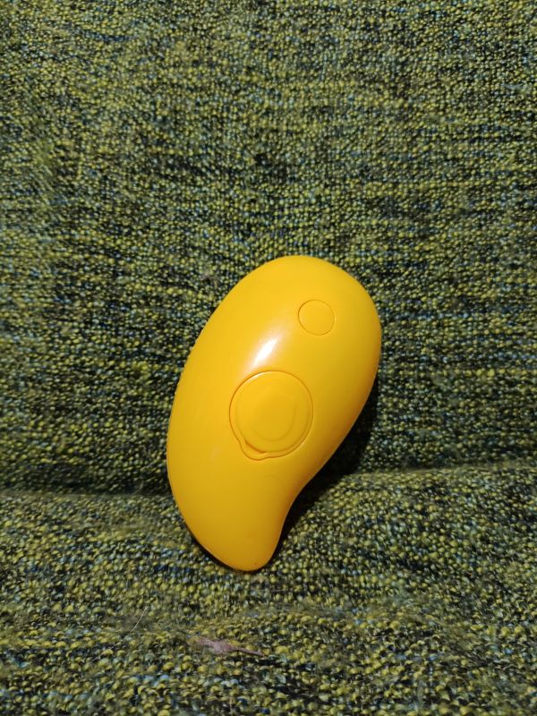 Parní kartáč na srst