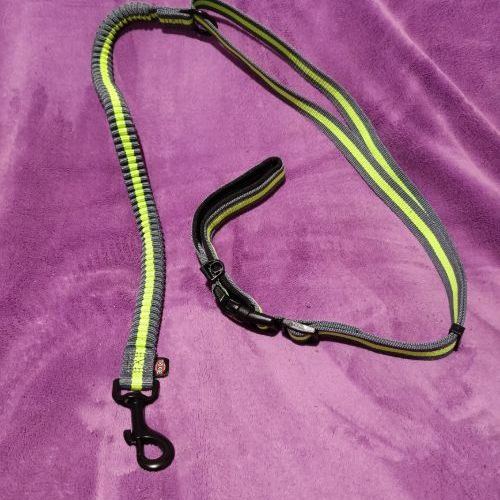 Vodítko s amortizérem