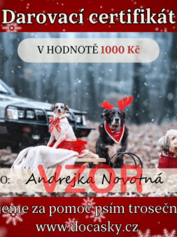 Vánoční darovací certifikát pro psí trosečníky