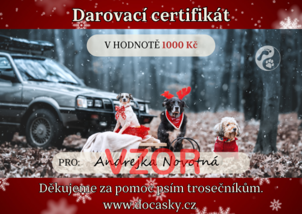 Vánoční darovací certifikát pro psí trosečníky