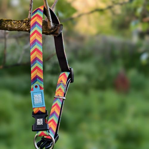 Barevný obojek z neoprenu