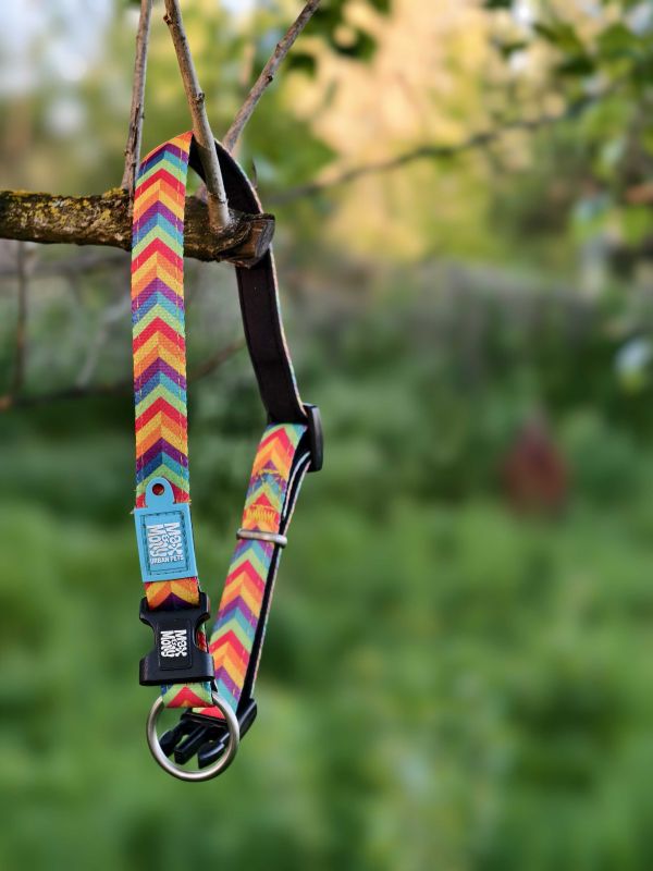 Barevný obojek z neoprenu