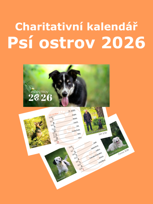 Stolní týdenní kalendář na rok 2026